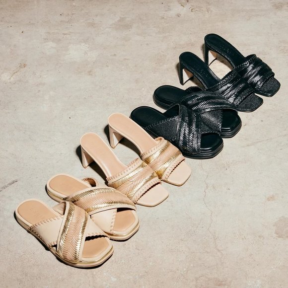 DANIELLA SHEVEL - Picture 9 of 10